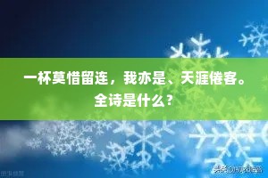 一杯莫惜留连，我亦是、天涯倦客。全诗是什么？