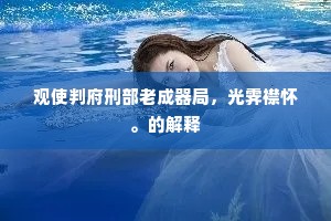 观使判府刑部老成器局，光霁襟怀。的解释