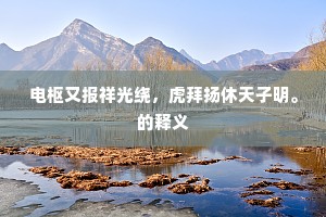 电枢又报祥光绕，虎拜扬休天子明。的释义
