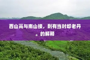 西山高与南山接，剩有当时却老丹。的解释