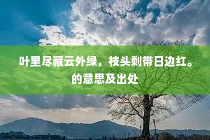 叶里尽藏云外绿，枝头剩带日边红。的意思及出处