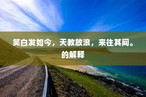 笑白发如今，天教放浪，来往其间。的解释