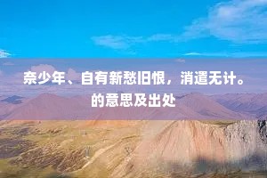 奈少年、自有新愁旧恨，消遣无计。的意思及出处