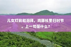 儿女灯前和泪拜，鸡豚社里归时节。上一句是什么？