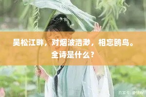 吴松江畔，对烟波浩渺，相忘鸥鸟。全诗是什么？