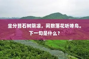 坐分苔石树阴凉，闲数落花听啼鸟。下一句是什么？