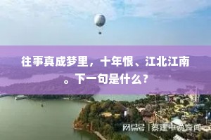 往事真成梦里，十年恨、江北江南。下一句是什么？