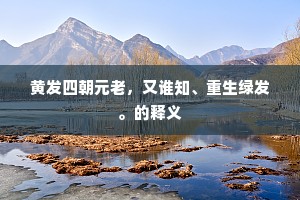 黄发四朝元老，又谁知、重生绿发。的释义