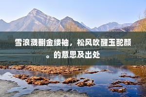 雪浪溅翻金缕袖，松风吹醒玉酡颜。的意思及出处
