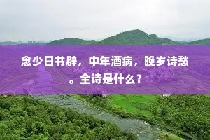 念少日书辟，中年酒病，晚岁诗愁。全诗是什么？