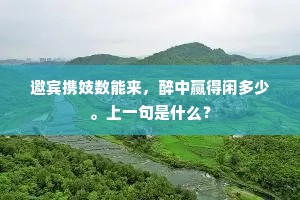邀宾携妓数能来，醉中赢得闲多少。上一句是什么？