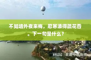 不知墙外夜来梅，忍寒添得疏花否。下一句是什么？