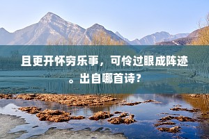 且更开怀穷乐事，可怜过眼成阵迹。出自哪首诗？