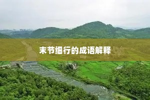 末节细行的成语解释