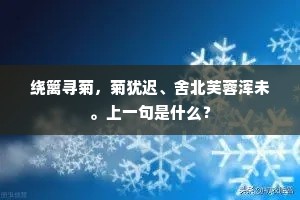 绕篱寻菊，菊犹迟、舍北芙蓉浑未。上一句是什么？