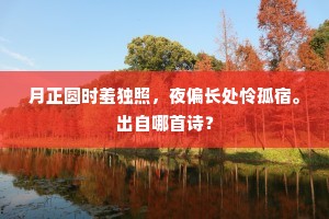 月正圆时羞独照，夜偏长处怜孤宿。出自哪首诗？