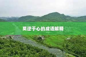 莫逆于心的成语解释