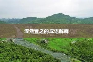 漠然置之的成语解释