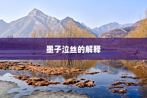 墨子泣丝的解释
