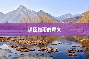 谋臣如雨的释义