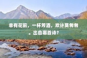 幸有花前，一杯芳酒，欢计莫匆匆。出自哪首诗？