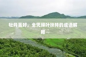 牡丹虽好，全凭绿叶扶持的成语解释