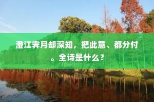 澄江霁月却深知，把此意、都分付。全诗是什么？