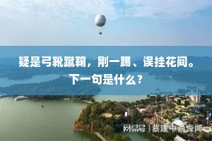 疑是弓靴蹴鞠，刚一踢、误挂花间。下一句是什么？
