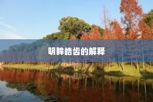 明眸皓齿的解释