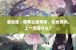 谁知道、荏苒尘埃带抹，任他倾侧。上一句是什么？