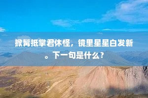 掀髯抵掌君休怪，镜里星星白发新。下一句是什么？