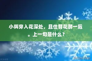小舆穿入花深处，且住簪花醉一卮。上一句是什么？