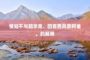 情知不与韶华竞，回首西风怨阿谁。的解释