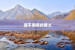 目不别视的释义