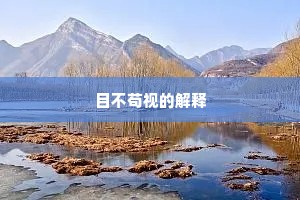 目不苟视的解释
