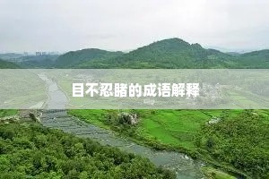 目不忍睹的成语解释