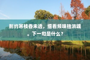 削约寒枝香未透，细看频嗅独消魂。下一句是什么？