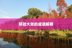 明验大效的成语解释