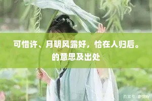 可惜许、月明风露好，恰在人归后。的意思及出处