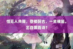 惜无人共我，登楼酹古，一笑横笛。出自哪首诗？