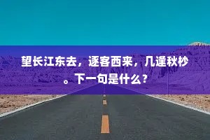望长江东去，逐客西来，几逢秋杪。下一句是什么？