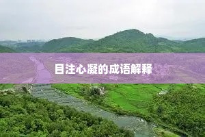目注心凝的成语解释