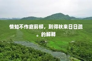 情知不作庭前柳，到得秋来日日疏。的解释