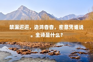 禁漏迢迢，边鸿杳杳，密意凭谁说。全诗是什么？