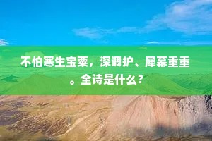 不怕寒生宝粟，深调护、犀幕重重。全诗是什么？