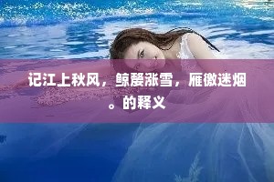 记江上秋风，鲸嫠涨雪，雁徼迷烟。的释义
