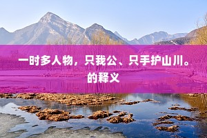 一时多人物，只我公、只手护山川。的释义