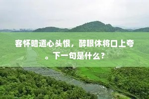 客怀暗遣心头恨，醉眼休将口上夸。下一句是什么？