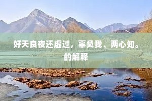 好天良夜还虚过，辜负我、两心知。的解释