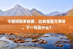 今朝得到芗林醉，白发相看万事休。下一句是什么？